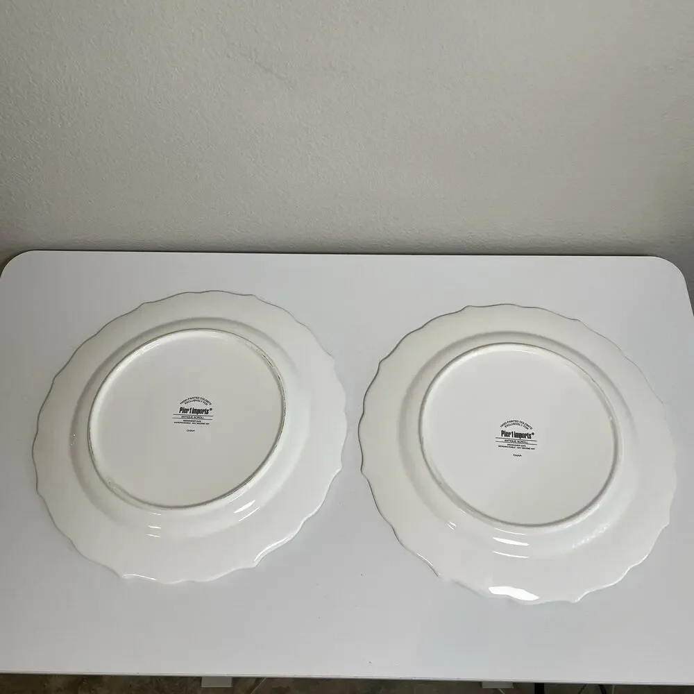 Pier 1 Imports Antique Scroll Stoneware Dinner Plates 11in Discontinued Set of 2